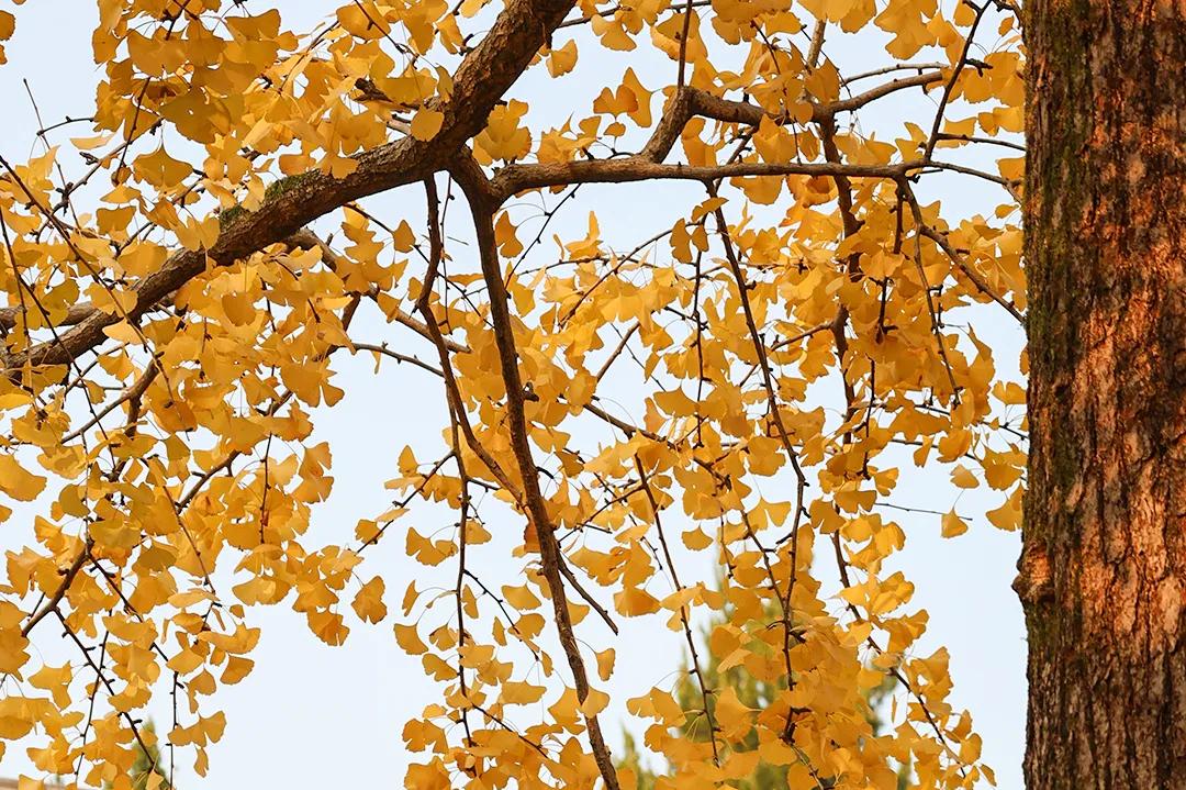 2025，我们的足迹...